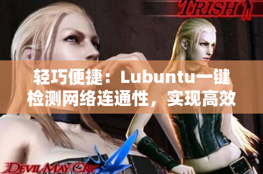 輕巧便捷：Lubuntu一鍵檢測網(wǎng)絡(luò)連通性，實現(xiàn)高效上網(wǎng)