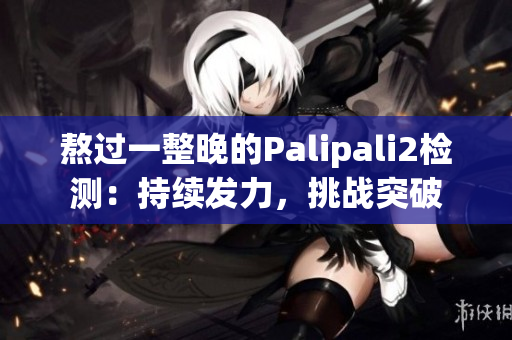 熬過一整晚的Palipali2檢測：持續(xù)發(fā)力，挑戰(zhàn)突破