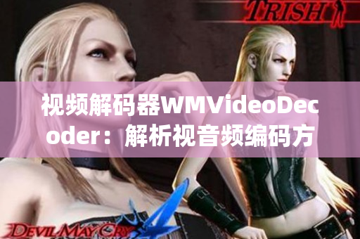 視頻解碼器WMVideoDecoder：解析視音頻編碼方式(1)