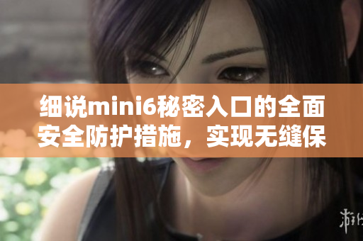 細說mini6秘密入口的全面安全防護措施，實現(xiàn)無縫保護