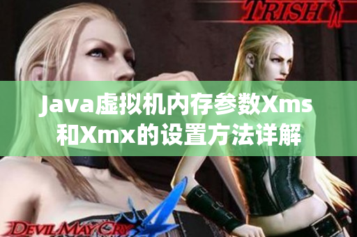 Java虛擬機(jī)內(nèi)存參數(shù)Xms和Xmx的設(shè)置方法詳解