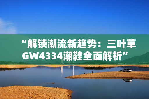 “解鎖潮流新趨勢(shì)：三葉草GW4334潮鞋全面解析”