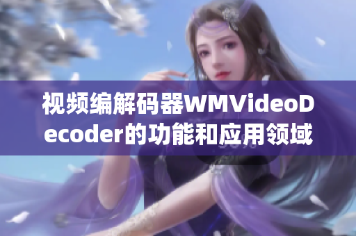 視頻編解碼器WMVideoDecoder的功能和應(yīng)用領(lǐng)域(1)