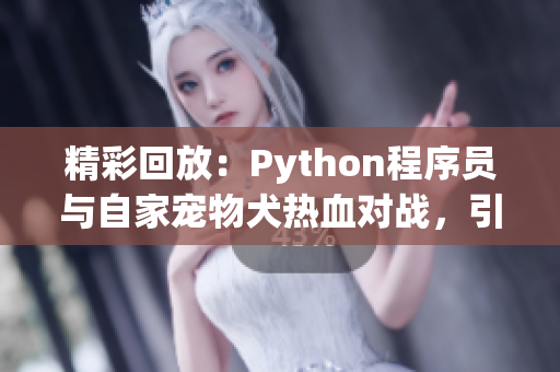 精彩回放：Python程序員與自家寵物犬熱血對戰(zhàn)，引爆笑鬧場面