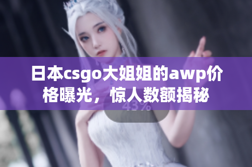 日本csgo大姐姐的awp價格曝光，驚人數(shù)額揭秘