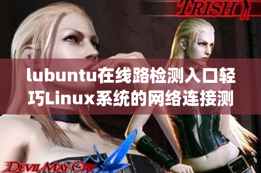 lubuntu在線路檢測入口輕巧Linux系統(tǒng)的網(wǎng)絡(luò)連接測試(1)