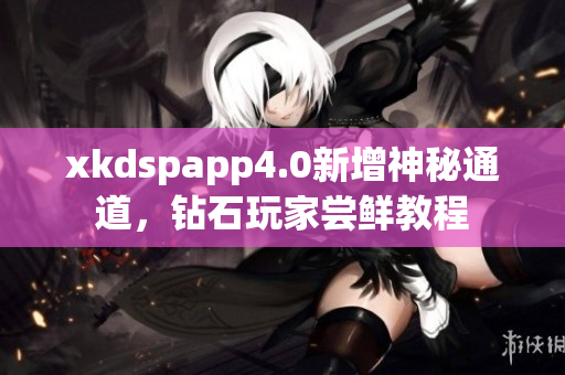 xkdspapp4.0新增神秘通道，鉆石玩家嘗鮮教程