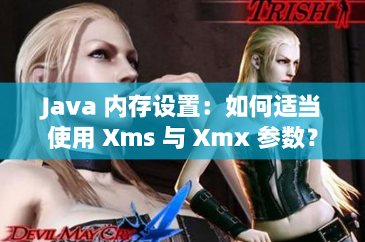 Java 內(nèi)存設(shè)置：如何適當(dāng)使用 Xms 與 Xmx 參數(shù)？