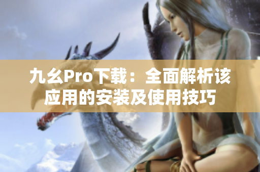 九幺Pro下載：全面解析該應(yīng)用的安裝及使用技巧