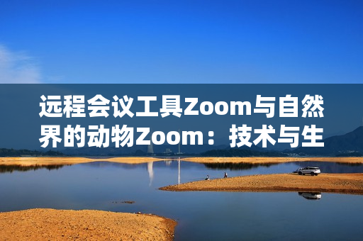 遠(yuǎn)程會(huì)議工具Zoom與自然界的動(dòng)物Zoom：技術(shù)與生態(tài)的完美交織