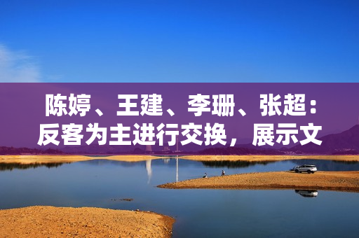 陳婷、王建、李珊、張超：反客為主進(jìn)行交換，展示文化多樣性的魅力