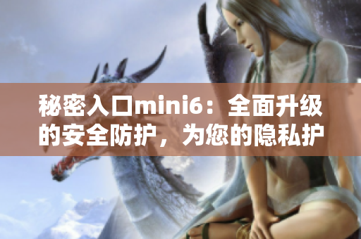 秘密入口mini6：全面升級的安全防護(hù)，為您的隱私護(hù)航