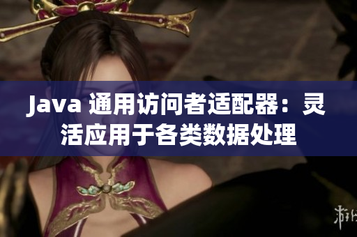 Java 通用訪問者適配器：靈活應用于各類數(shù)據(jù)處理