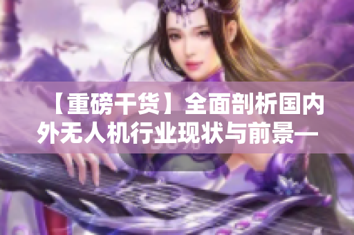 【重磅干貨】全面剖析國內(nèi)外無人機行業(yè)現(xiàn)狀與前景——值得一讀！