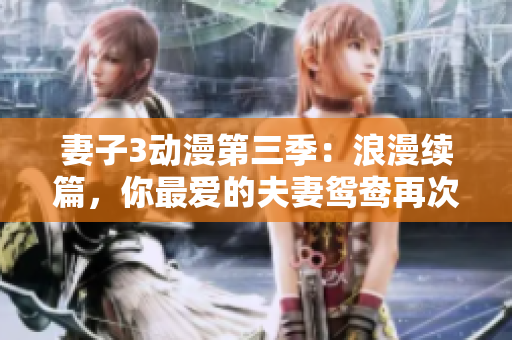 妻子3動漫第三季：浪漫續(xù)篇，你最愛的夫妻鴛鴦再次來襲！
