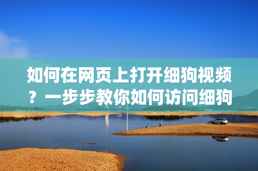 如何在網(wǎng)頁上打開細狗視頻？一步步教你如何訪問細狗視頻網(wǎng)頁版(1)