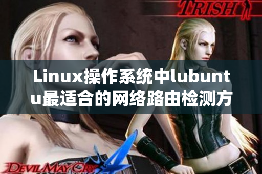 Linux操作系統(tǒng)中l(wèi)ubuntu最適合的網(wǎng)絡(luò)路由檢測方案