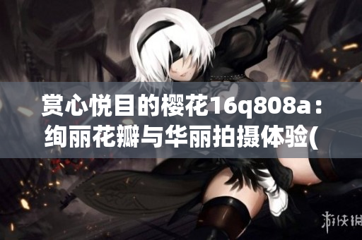 賞心悅目的櫻花16q808a：絢麗花瓣與華麗拍攝體驗(yàn)(1)