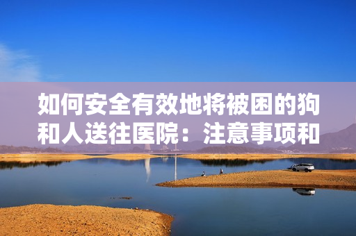 如何安全有效地將被困的狗和人送往醫(yī)院：注意事項和建議