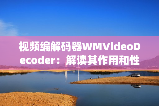 視頻編解碼器WMVideoDecoder：解讀其作用和性能(1)