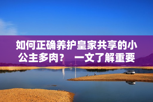 如何正確養(yǎng)護(hù)皇家共享的小公主多肉？  一文了解重要養(yǎng)護(hù)小技巧