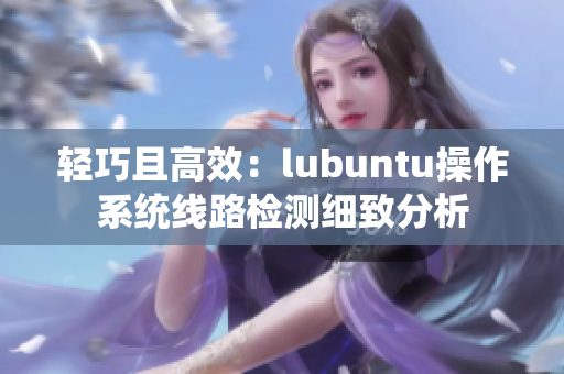 輕巧且高效：lubuntu操作系統(tǒng)線路檢測細致分析