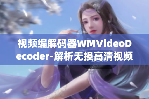 視頻編解碼器WMVideoDecoder-解析無損高清視頻(1)