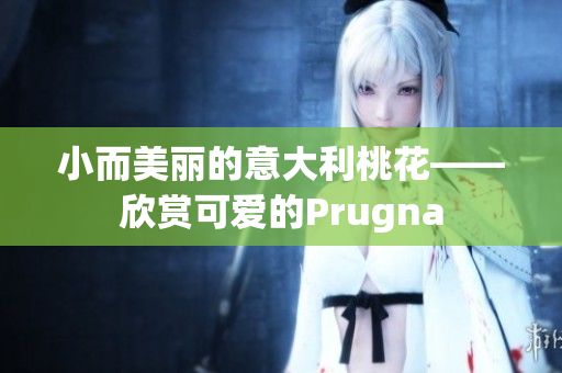 小而美麗的意大利桃花——欣賞可愛的Prugna