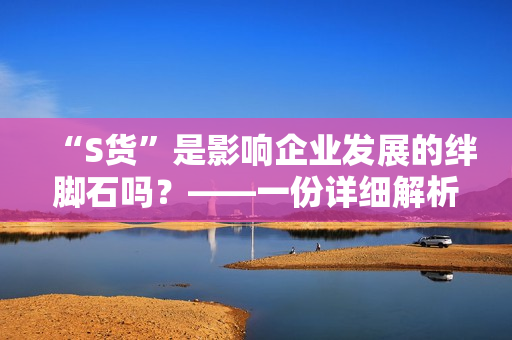 “S貨”是影響企業(yè)發(fā)展的絆腳石嗎？——一份詳細(xì)解析