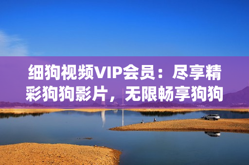 細狗視頻VIP會員：盡享精彩狗狗影片，無限暢享狗狗世界(1)