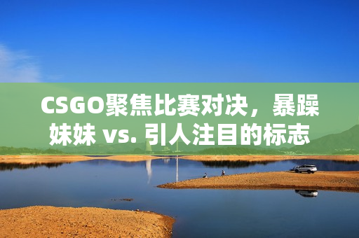 CSGO聚焦比賽對決，暴躁妹妹 vs. 引人注目的標(biāo)志