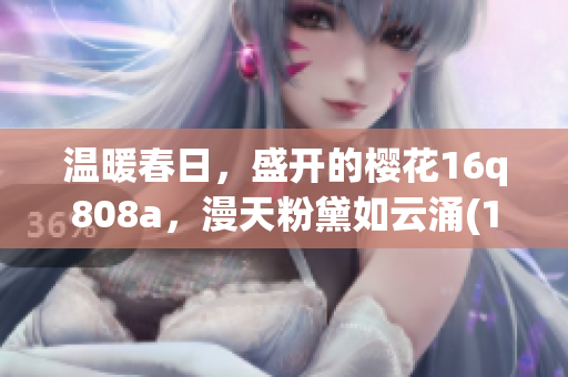 溫暖春日，盛開的櫻花16q808a，漫天粉黛如云涌(1)