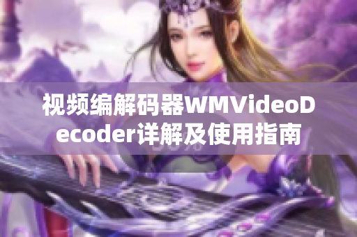 視頻編解碼器WMVideoDecoder詳解及使用指南