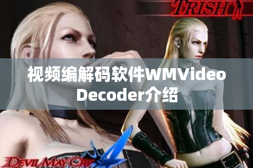 視頻編解碼軟件WMVideoDecoder介紹