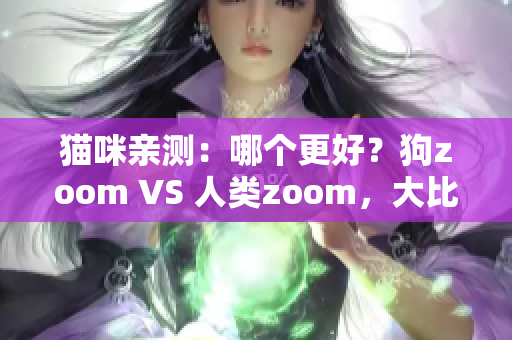 貓咪親測：哪個更好？狗zoom VS 人類zoom，大比拼