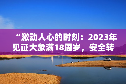 “激動(dòng)人心的時(shí)刻：2023年見證大象滿18周歲，安全轉(zhuǎn)場”