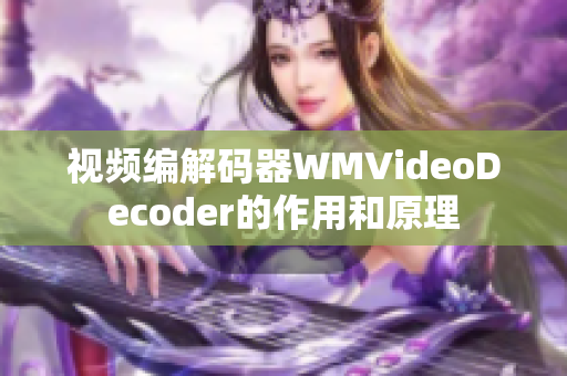 視頻編解碼器WMVideoDecoder的作用和原理