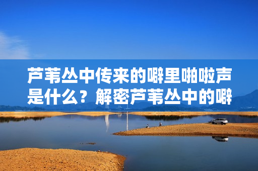 蘆葦叢中傳來的噼里啪啦聲是什么？解密蘆葦叢中的噼里啪啦聲音