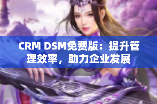 CRM DSM免費版：提升管理效率，助力企業(yè)發(fā)展