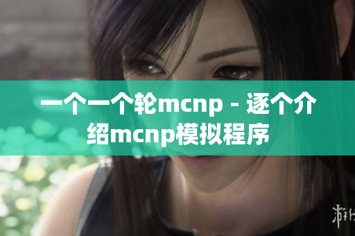 一個一個輪mcnp - 逐個介紹mcnp模擬程序