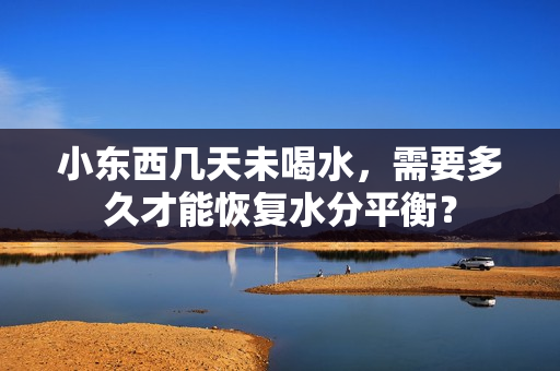 小東西幾天未喝水，需要多久才能恢復水分平衡？