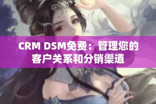 CRM DSM免費(fèi)：管理您的客戶關(guān)系和分銷渠道