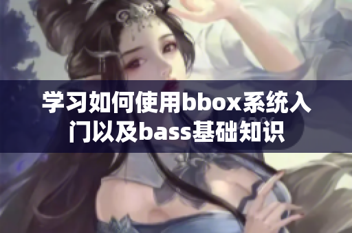 學(xué)習(xí)如何使用bbox系統(tǒng)入門以及bass基礎(chǔ)知識