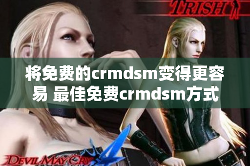 將免費(fèi)的crmdsm變得更容易 最佳免費(fèi)crmdsm方式瀏覽