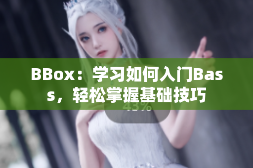 BBox：學(xué)習(xí)如何入門Bass，輕松掌握基礎(chǔ)技巧